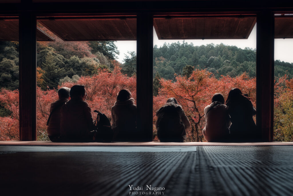 高山寺の紅葉