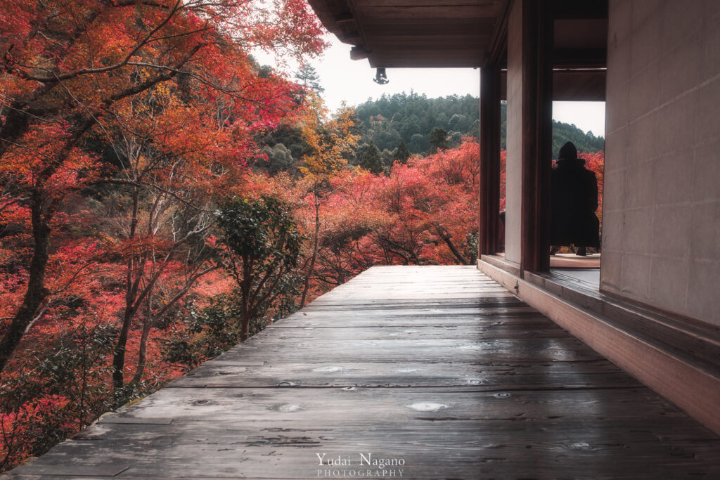 高山寺石水院の紅葉