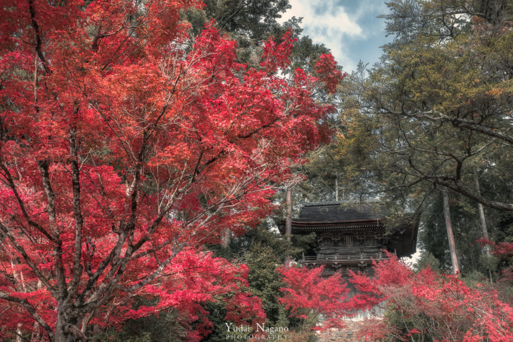 京都の秋　神護寺の紅葉