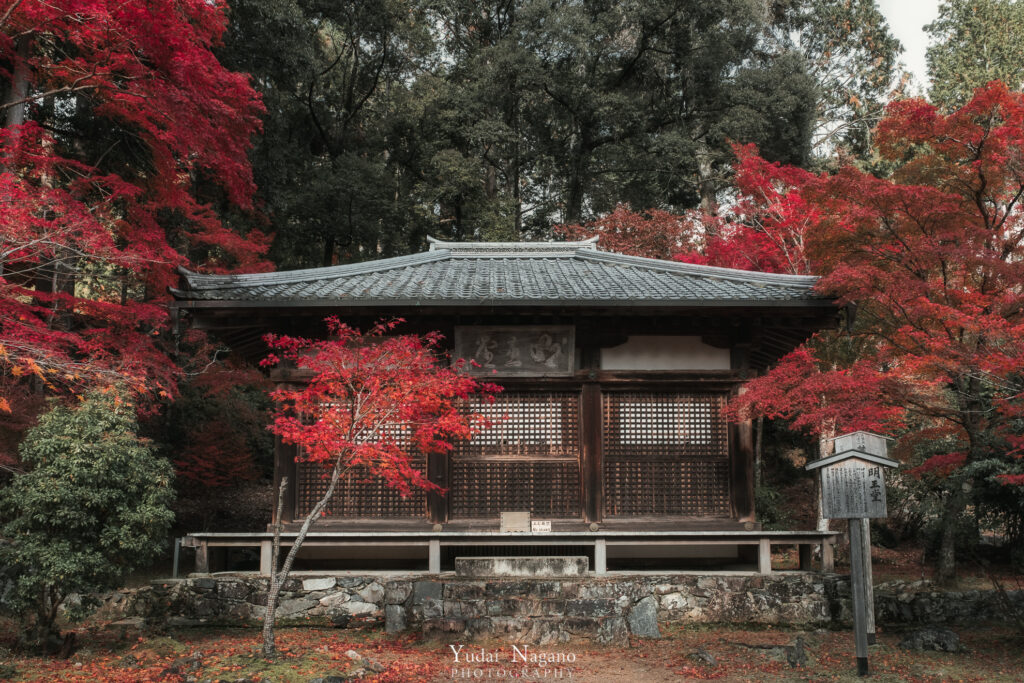 京都の秋　神護寺の紅葉