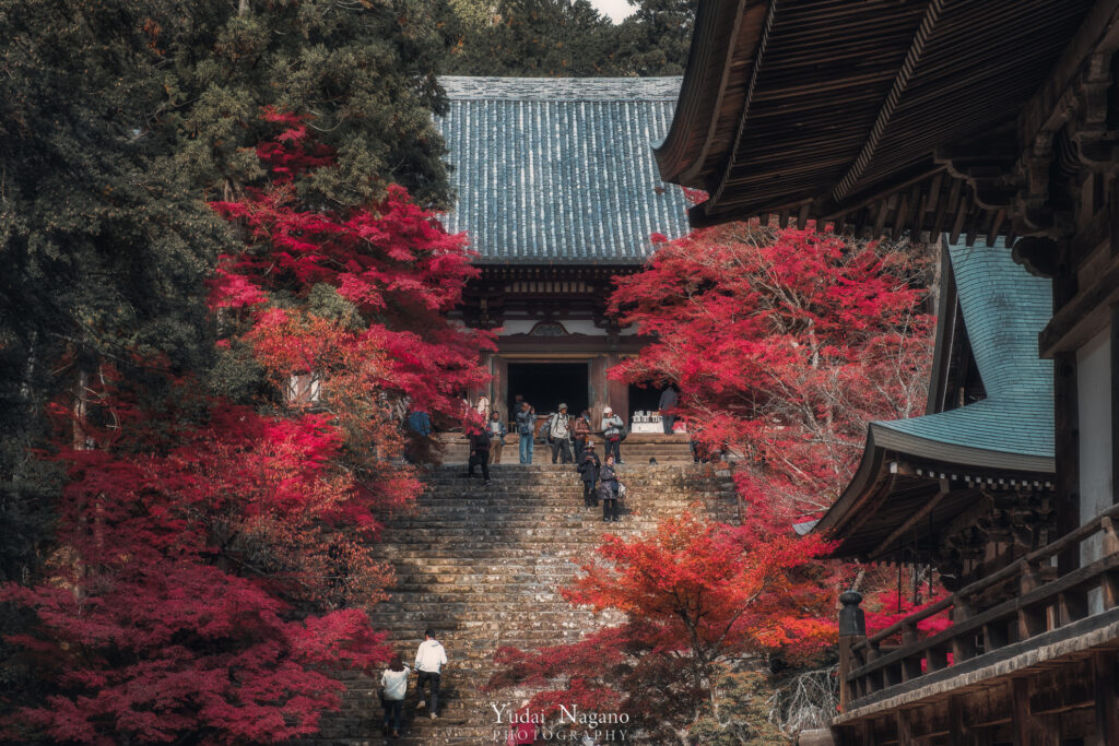 京都の秋 神護寺の紅葉