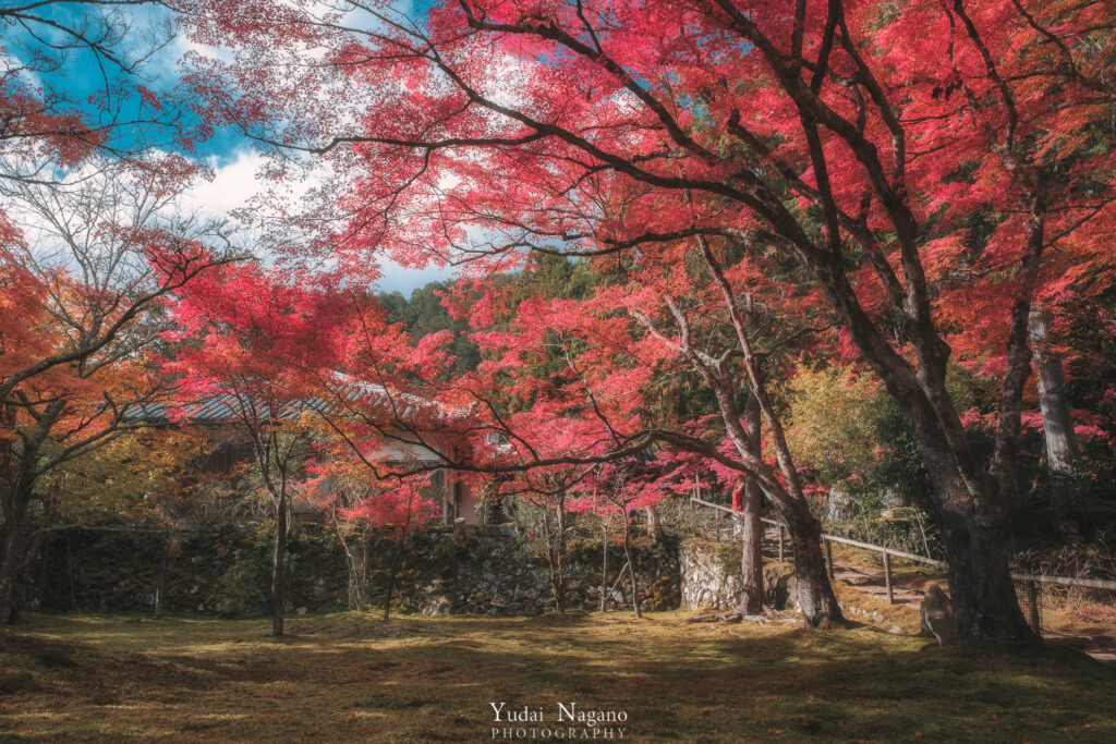 京都の秋 神護寺の紅葉