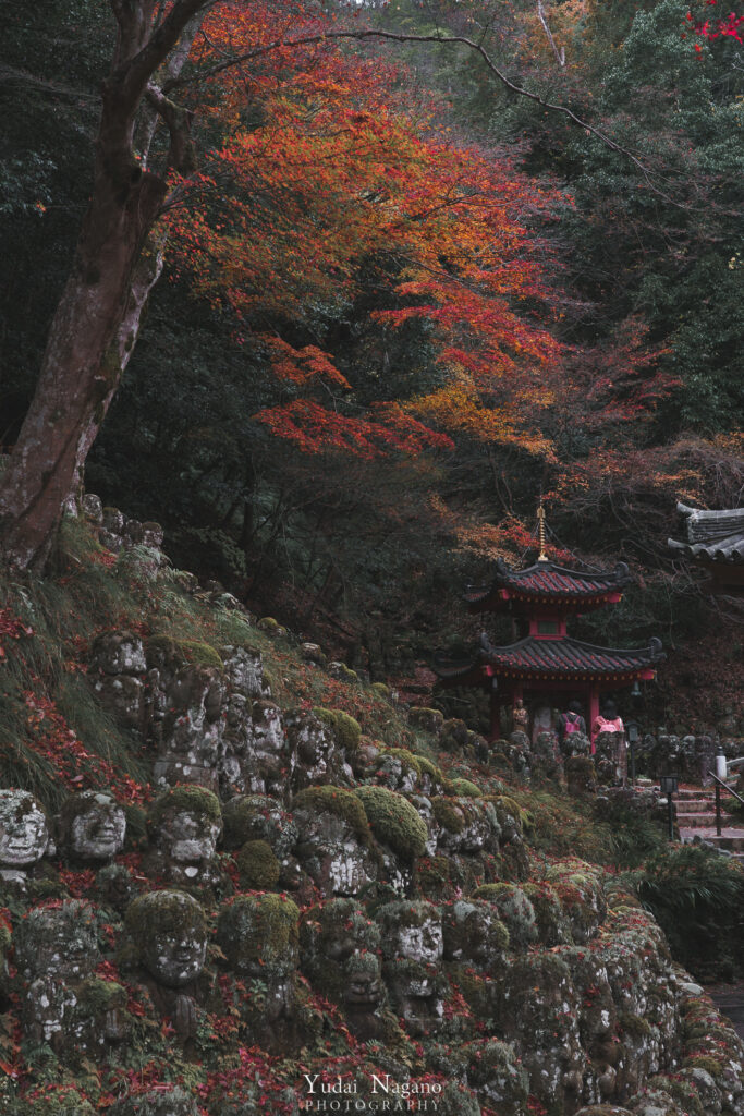 愛宕念仏寺　紅葉