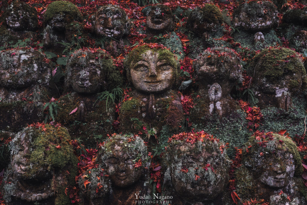 京都　愛宕念仏寺の紅葉