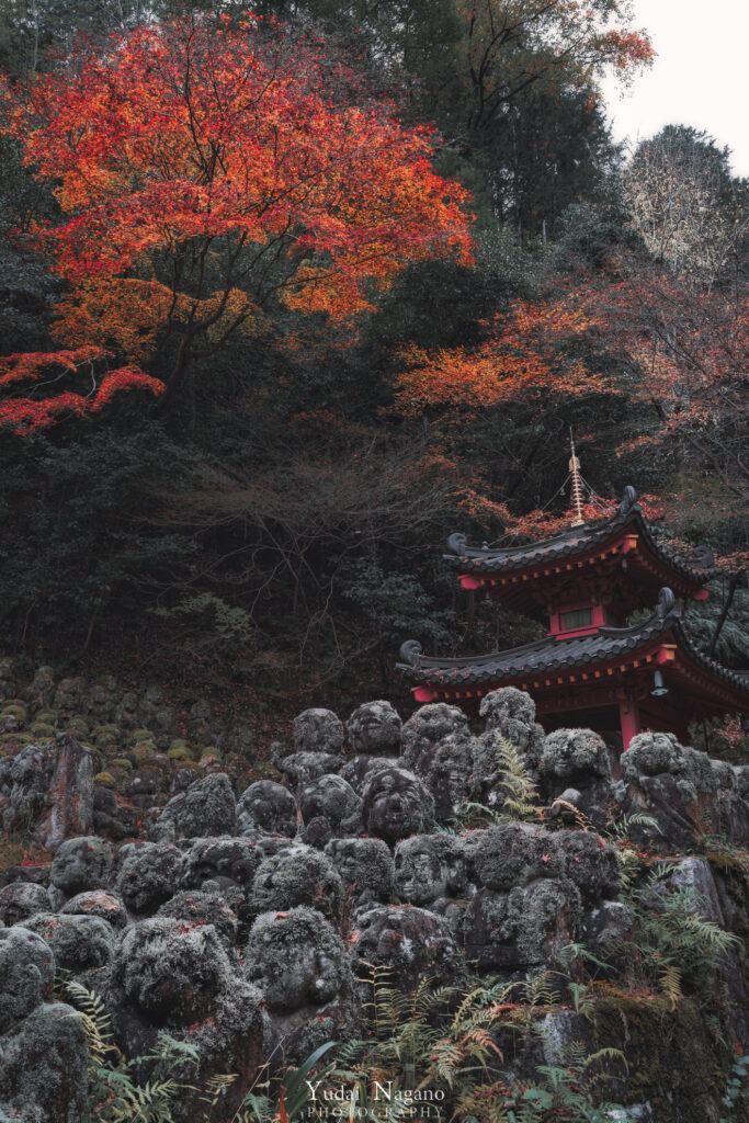 愛宕念仏寺の紅葉