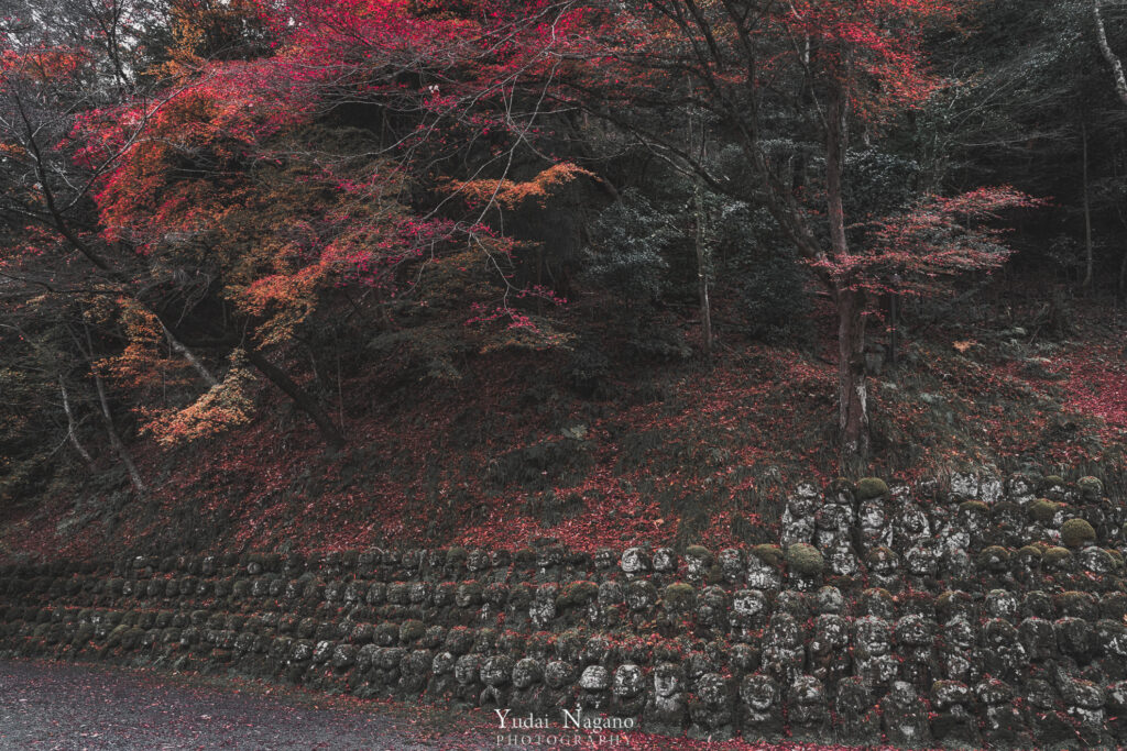 愛宕念仏寺の紅葉