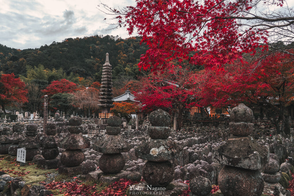 秋の京都　化野念仏寺の紅葉